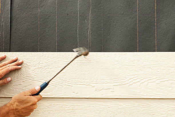 Siding for Commercial Buildings in Sorgho, KY